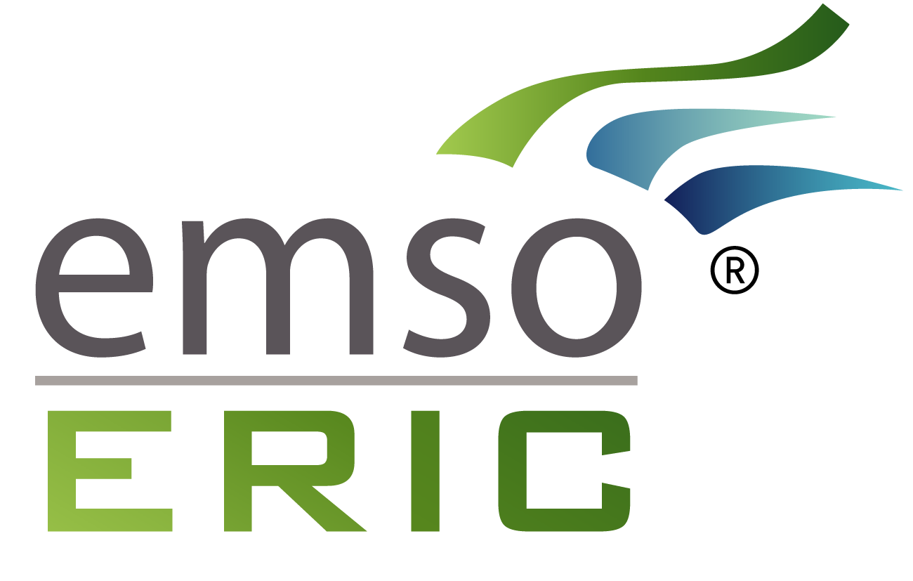 EMSO ERIC NOPAYOFF LOGO 1