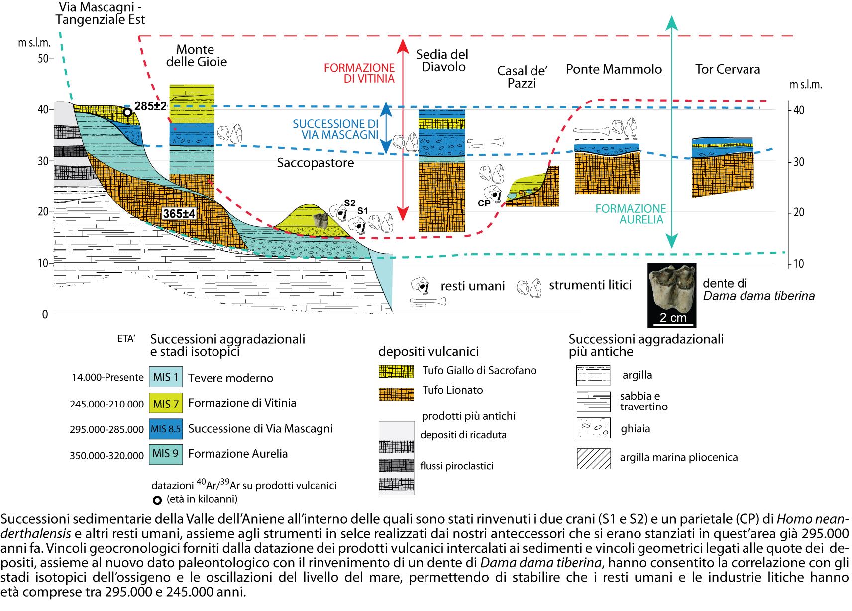 Neanderthal foto 2