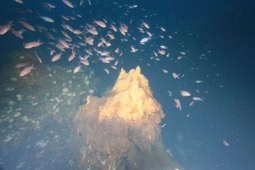 cs panarea 6
