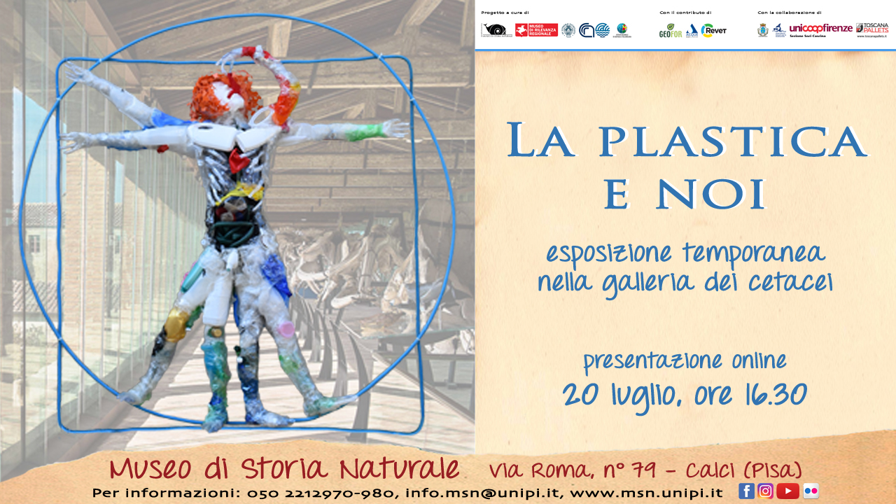 Plastic and us poster