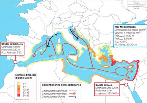 Specie aliene del Mediterraneo