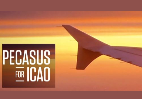 PECASUS | International partners compared for flight safety