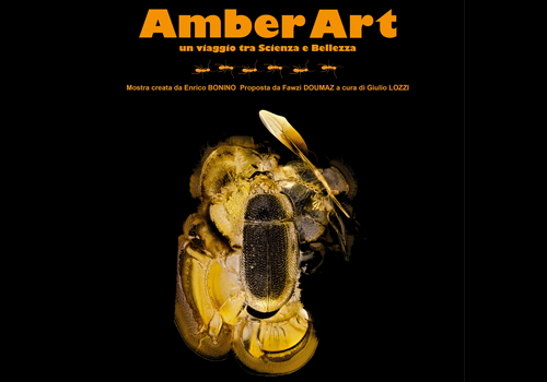 AMBER ART | At the Geosciences Museum of Rocca di Papa a photographic journey between science and beauty