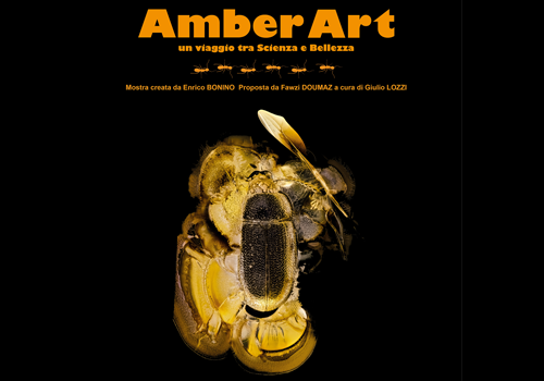 AMBER ART | Al Museo di Geoscienze di Rocca di Papa un viaggio fotografico tra scienza e bellezza 