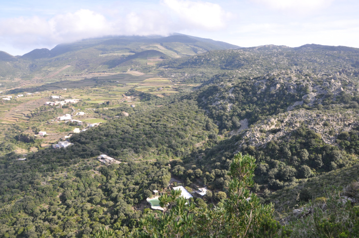 gelfiser pantelleria